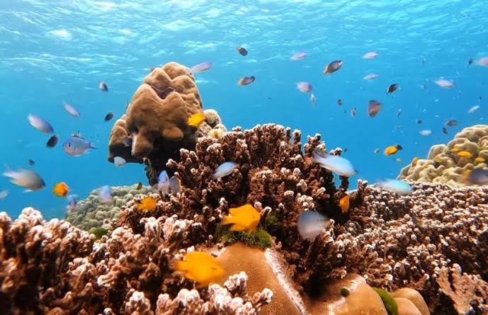 อุทยานแห่งชาติหมู่เกาะสิมิลัน